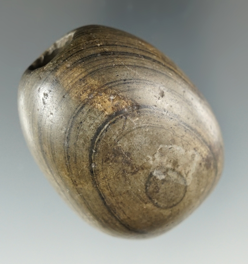 1 15/16" Archaic Ball Bannerstone made from green and black Banded Slate, Seneca Co., Ohio.