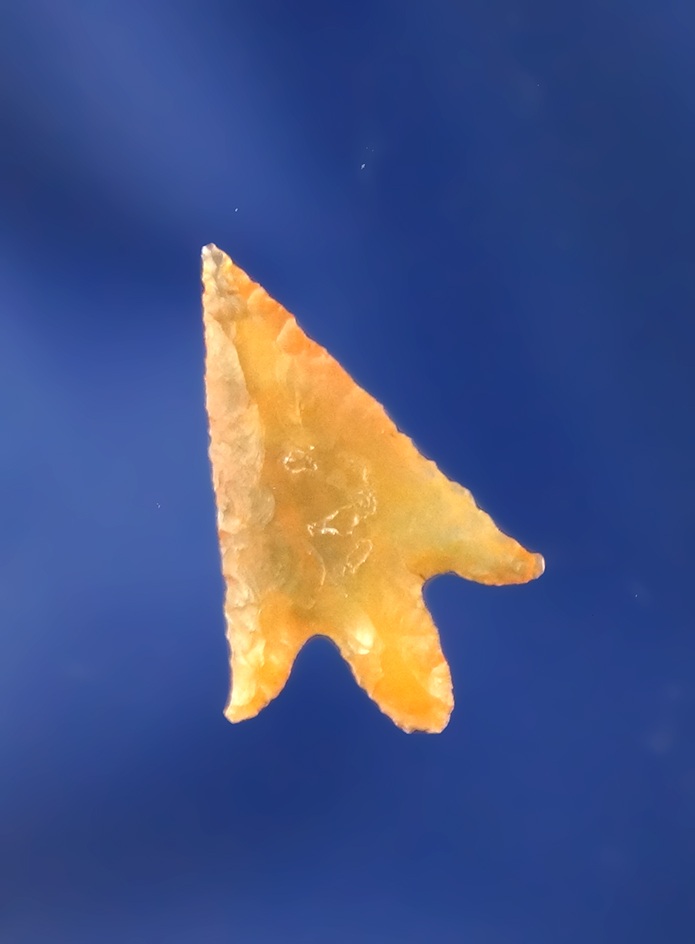 Colorful Columbia Plateau, orange Agate, 3/4” L. Recovered near the Deschutes in Wasco Co.