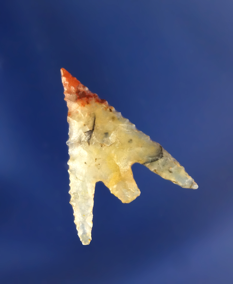 Outstanding Rogue (Gunther) Point, 1 1/16”.  found near Big Butte Creek in S.W. Oregon