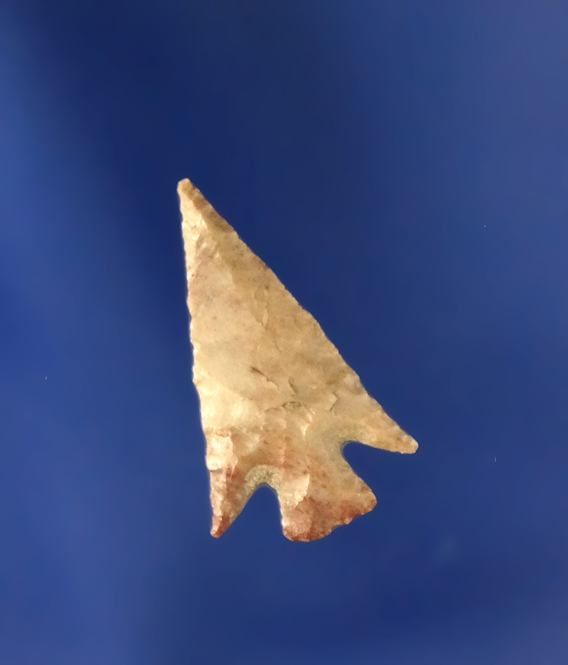 Columbia Plateau, tan Chalcedony, 3/4" L. Recovered near the Umatilla River.