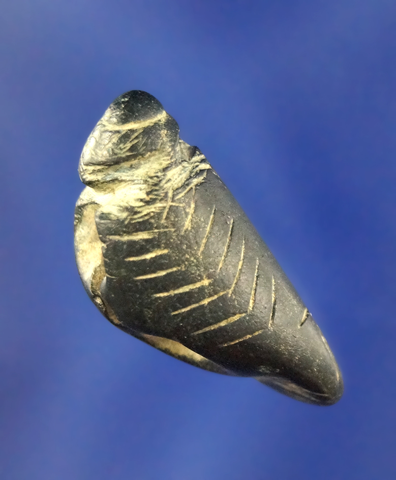 Small Columbia River Effigy. Steatite, drilled Bead or Pendant, 1 1/8" L. Animal effigy