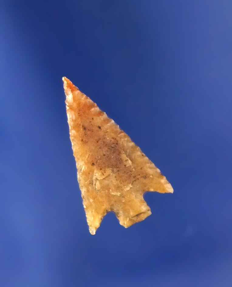 Small yet perfect Wallula Gap made from caramel colored Agate, 3/4"L. Wasco Co Oregon.