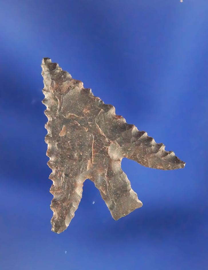 1" Columbia Plateau made from Brown Jasper and found near The Dalles.  Ex. Don Gillogly.