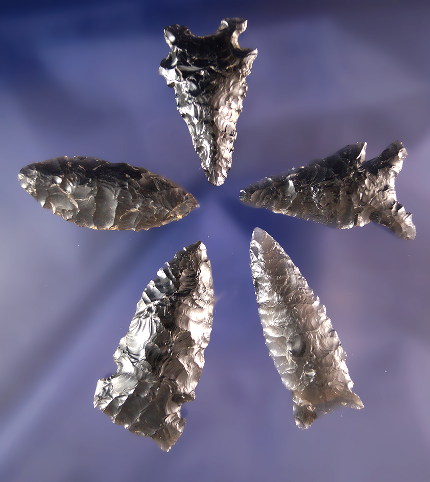Set of 5 assorted Obsidian Arrowheads found by R. D. Mudge in Nevada. Largest is 1 7/8".