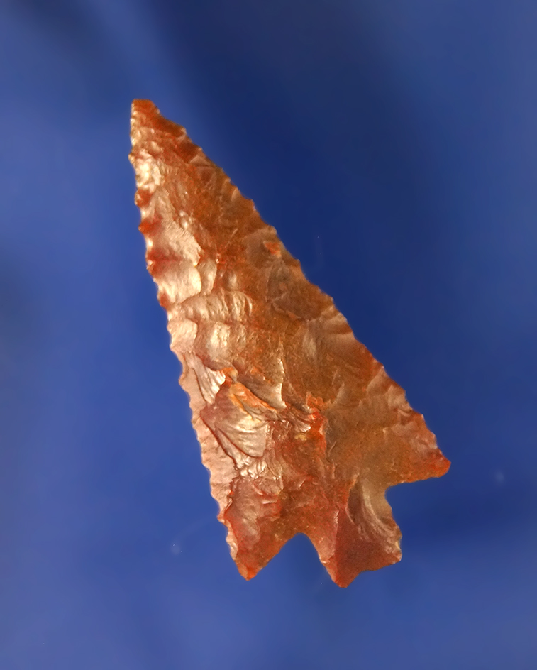 Wallula Gap with Serrations, 1 9/16”, found in The Dalles area by Don Gillogly.