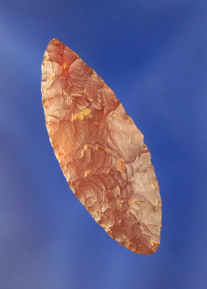 1 11/16" Cascade- very well flaked, quality semi translucent red Chalcedony - Columbia River.