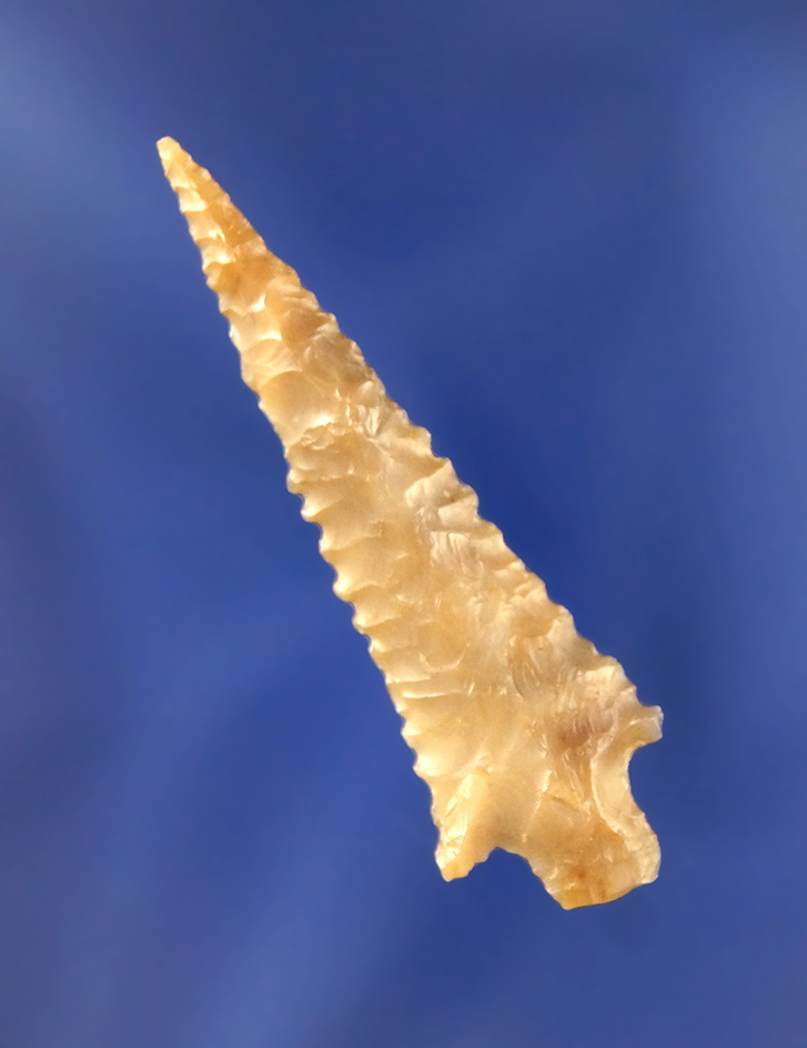 1 15/16" Rabbit Island Dart with excellent serrations made from quality material- Columbia River.