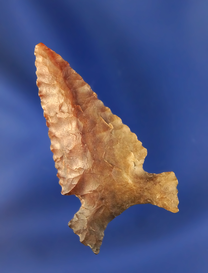 Excellent Serrated Side Notch Fox Ear, 1 13/16” L, brown Jasper.   Oregon.