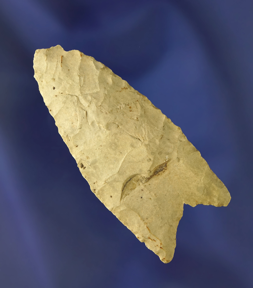 2 5/8" Paleo fluted Clovis- Lake Co., Indiana. Ex. Kilander, Dickey, Hilliard. Dickey COA.