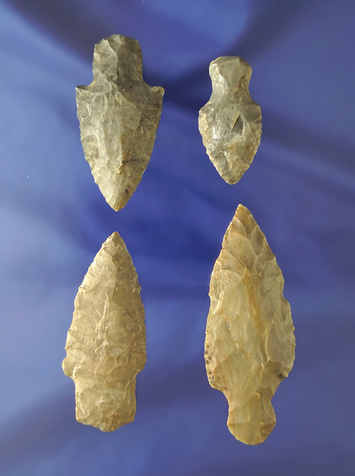 Set of four Adena points found in Harrison Co., Indiana, largest is 3". Ex. Les Gerkin collection.