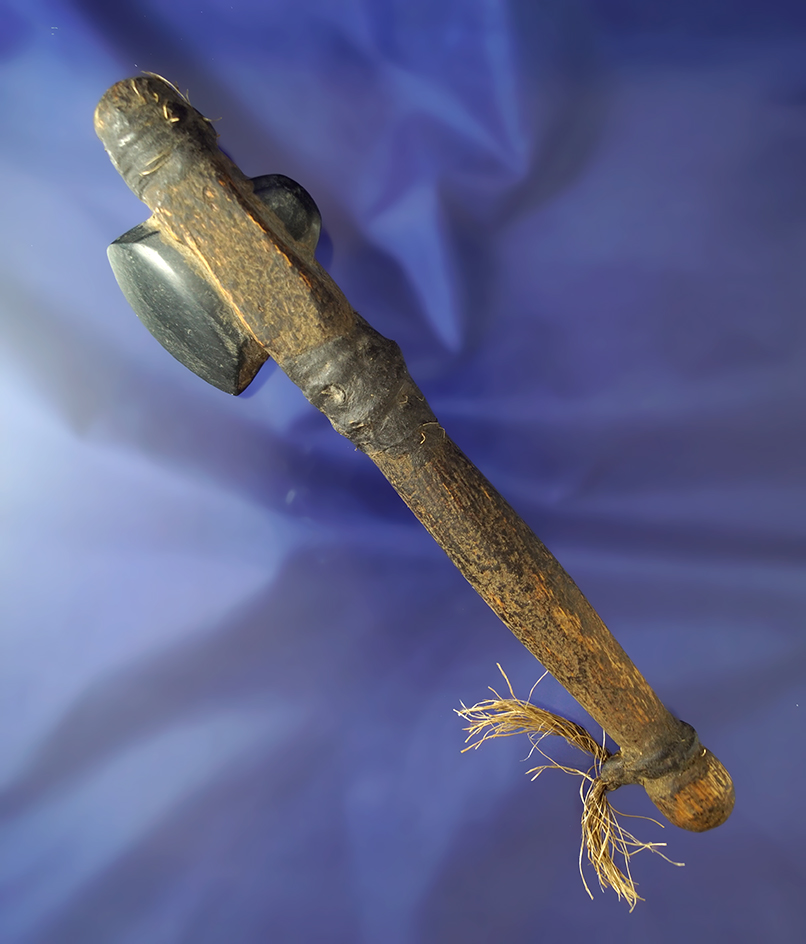 Very unique! 7 5/8" child's Hafted Stone Celt from an Island Culture - nicely made handle.