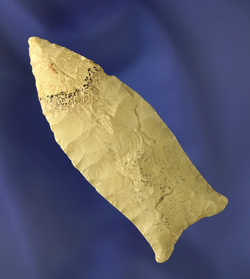 3" Paleo Beaver Lake that is nicely styled and thin. Found in Tennessee.  Bennett COA.