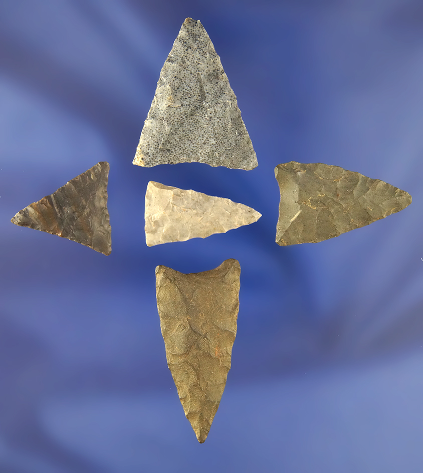 Set of five nice Triangle Points found in Virginia, largest is 1 9/16".