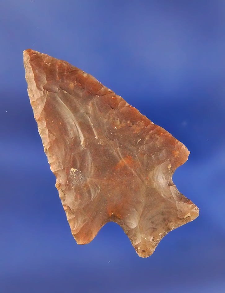 2 3/16" Marshall found in Texas with exceptional flaking.