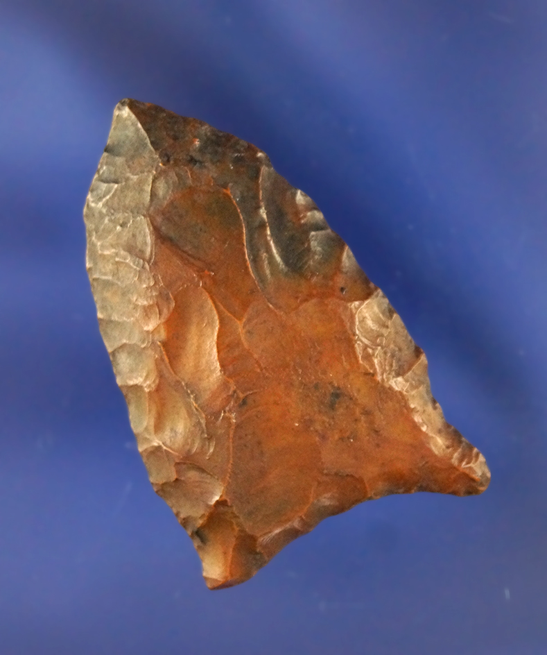 1 3/4" Union Sidenotch found near Live Oak by the Suwannee River, Florida. Davis COA.