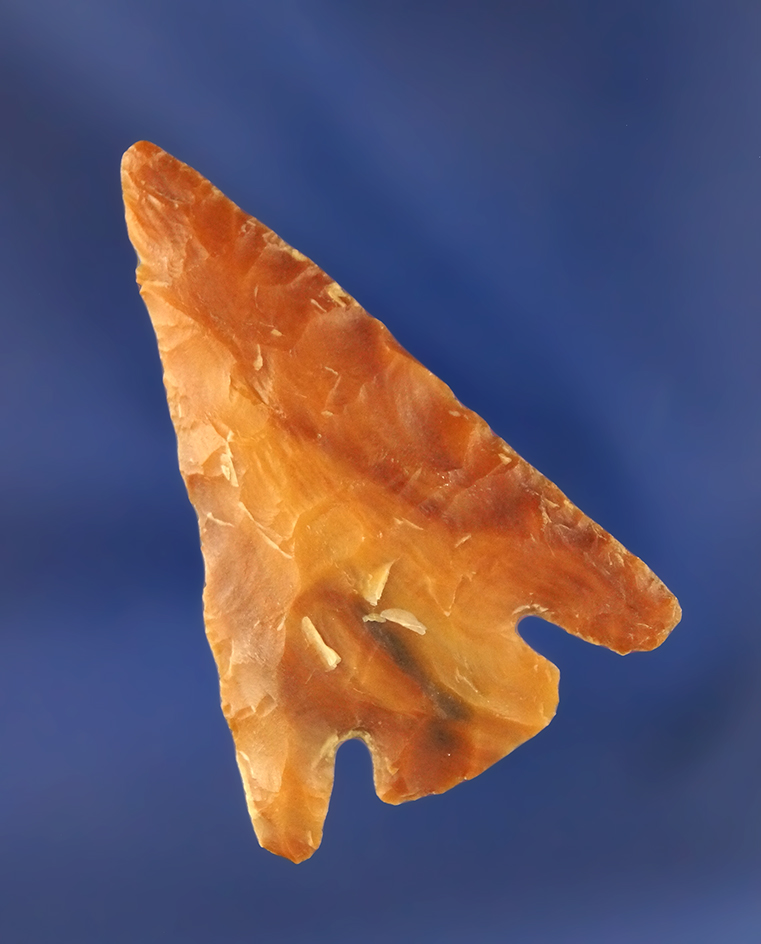 Sale highlight! 1 15/16" Hells Canyon Basal Notch - Kittitas Co.,Washington. Stermer COA.