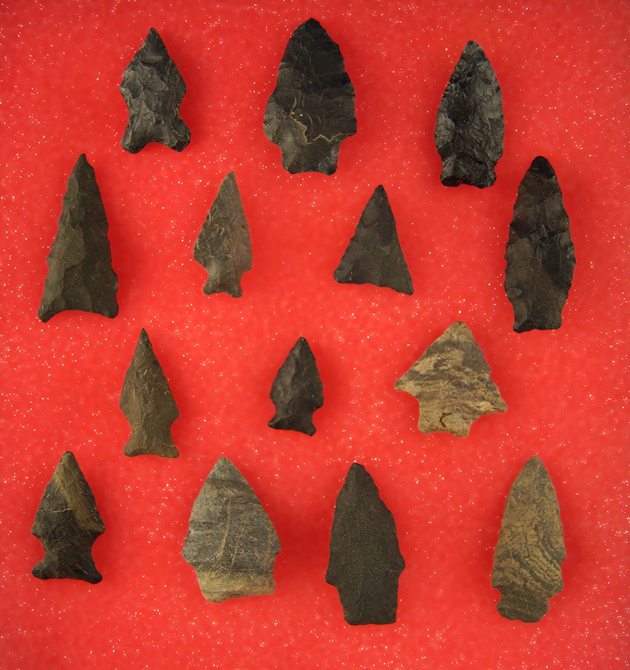 Group of 14 Very nice Arrowheads found in Virginia. Largest is 2".
