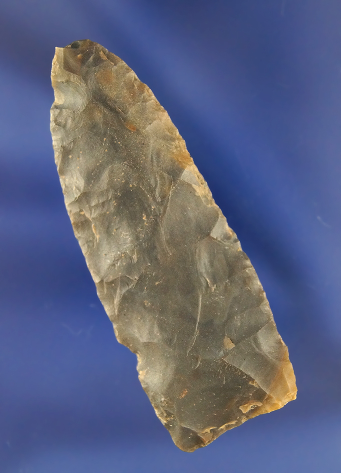 Nice flaking on this 2 3/4" Frazier found in Boyle Co., Kentucky. Comes with a Rogers COA.