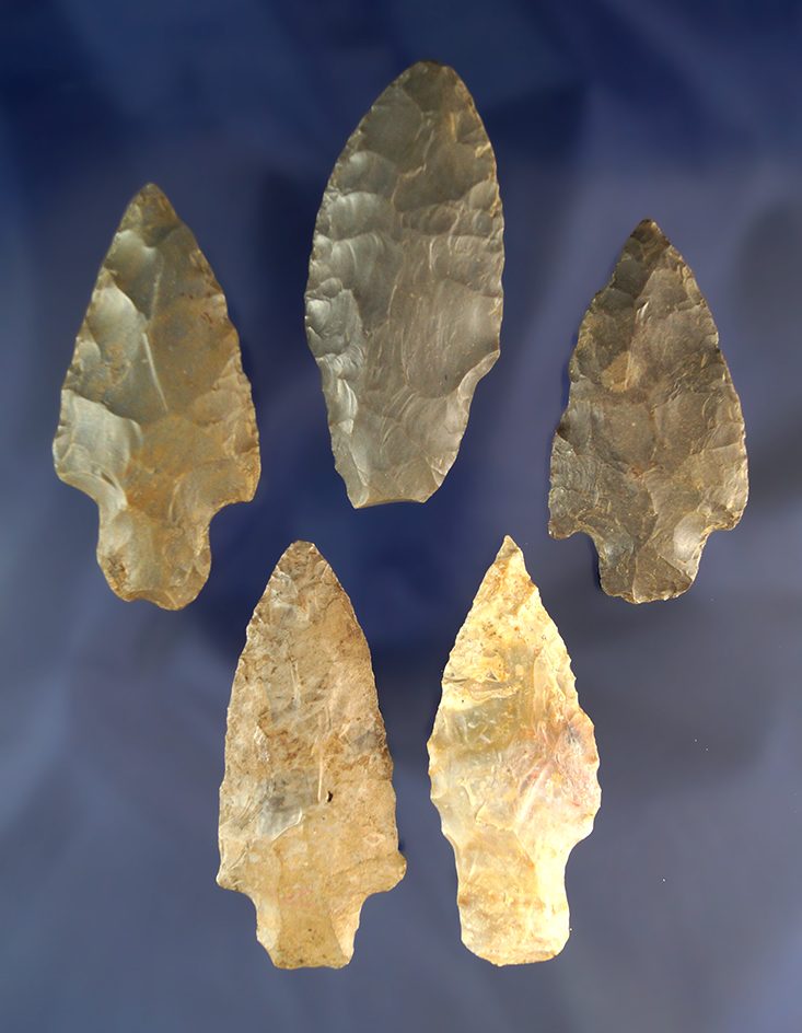 Set of five Adena arrowheads found in Ohio, largest is 2 15/16".