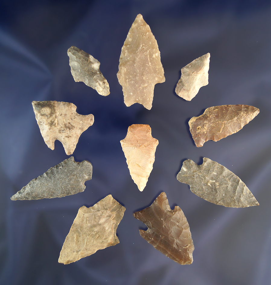 10 nice Texas Arrowheads, largest is 2".