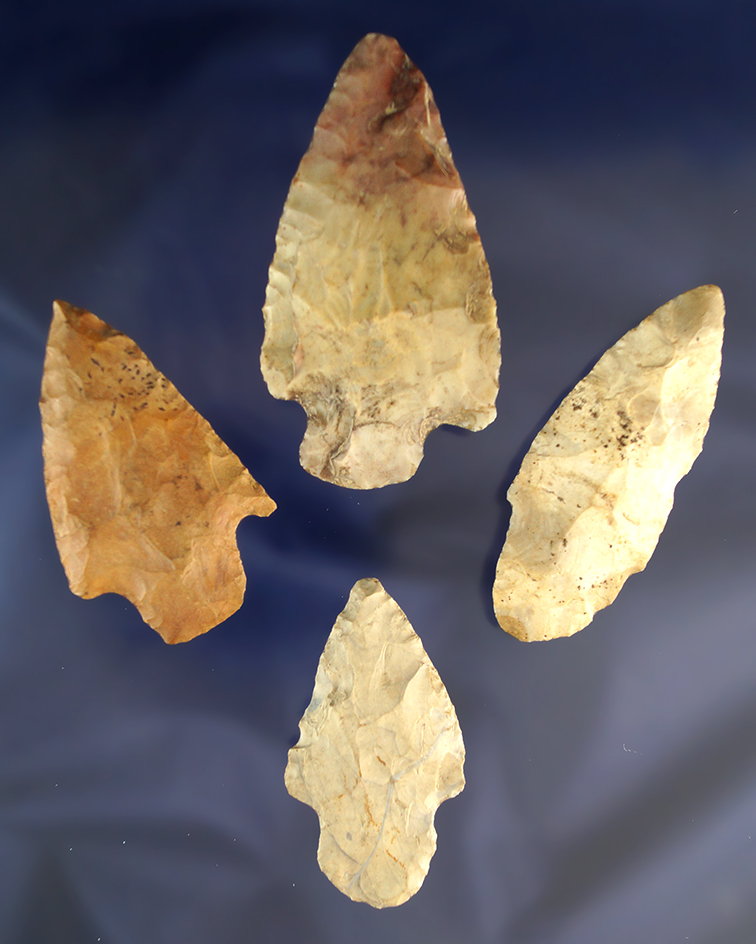 Set of four Adena culture arrowheads found in Ohio and Kentucky, largest is 3".