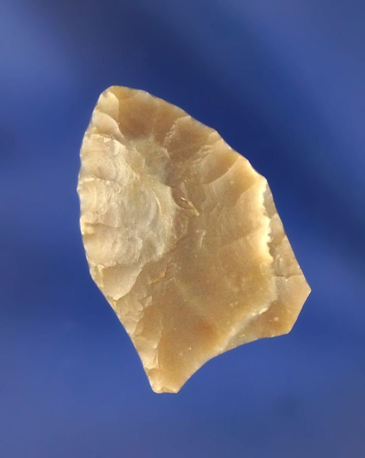 1 3/16" Paleo Fluted Folsom found . in Texas in 1951. Ex. Russell Long, #T152/123. Jackson COA.