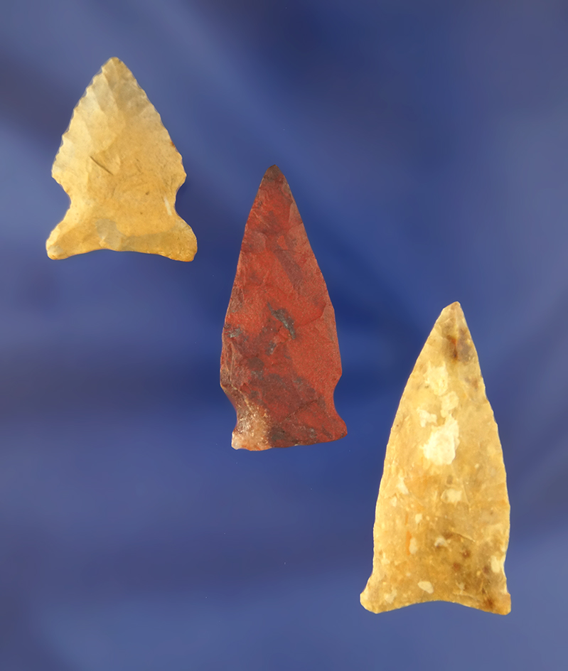 Set of three very nice arrowheads found in Virginia. Largest is 1 3/4".