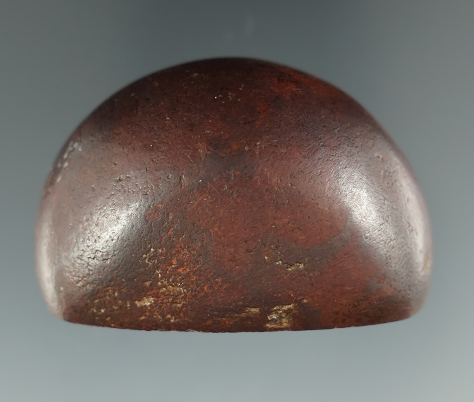 Highly polished 1 7/8" Woodland Cone found near Lowell in Adams Twp., Washington Co., Ohio. Pictured