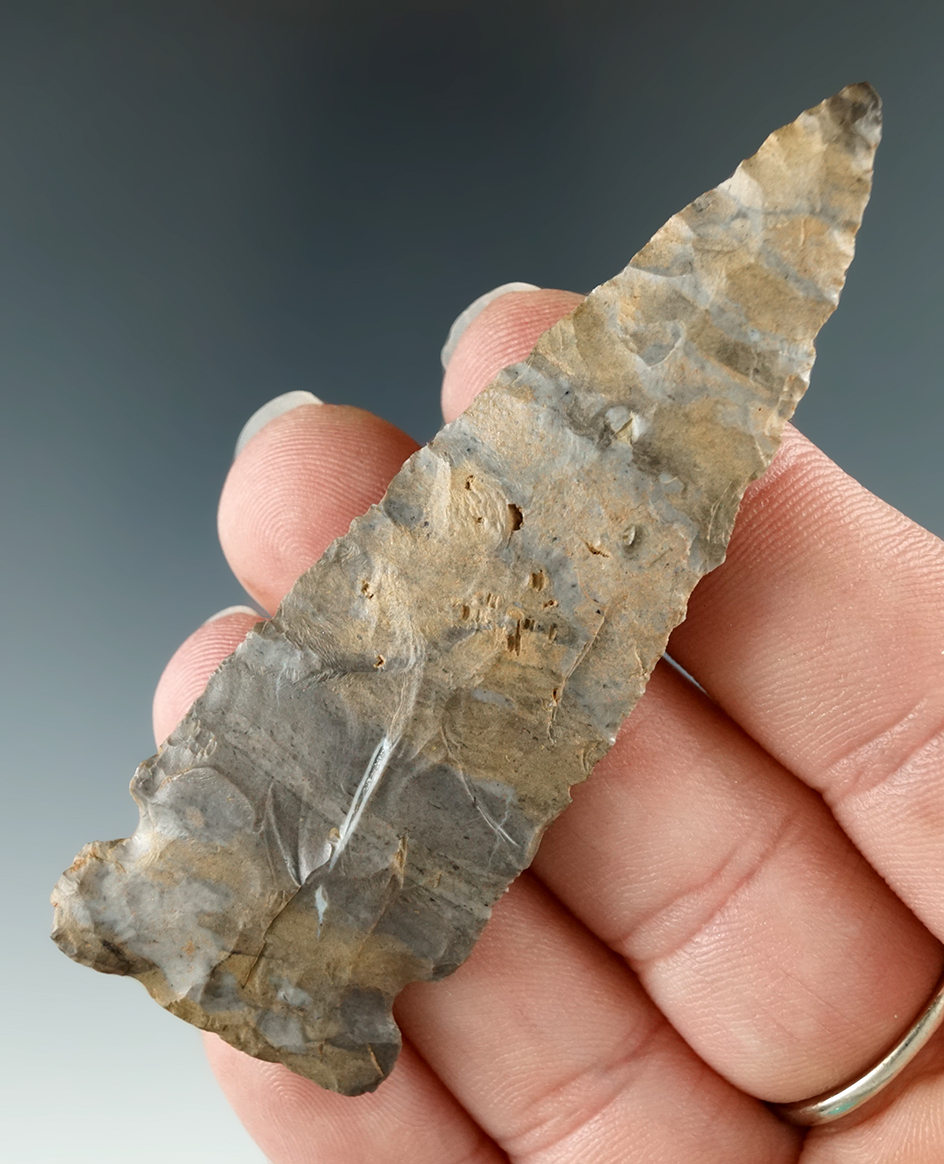 3" Onondaga Flint Meadowood found in New York.