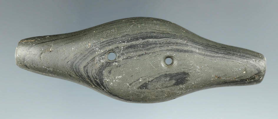 Nice! 3 7/8" Adena Expanded Center Gorget found by Jeff Natali in Erie Co., Pennsylvania. COA