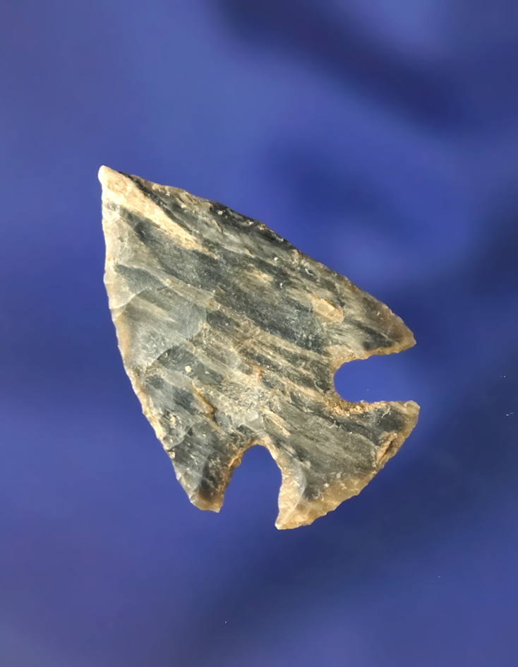 Beautifully made 1 1/4" Petrified Wood Cornernotch arrowhead found in South Dakota.