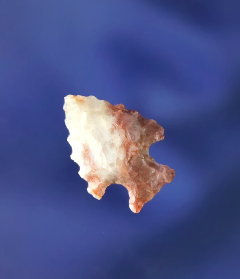 11/16" nicely serrated Alibates Bird Point found in Colorado.