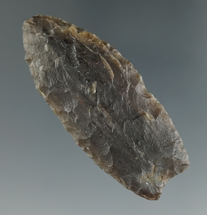 2 1/8" Angostura made from Petrified Wood, found in New Mexico. Comes with a Motley COA. Ex.