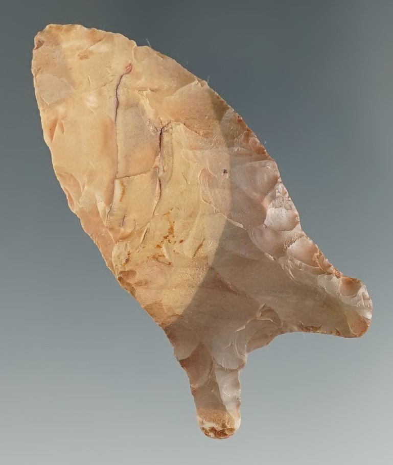 2 3/16" Quad - beautiful multi-colored chert. Found in Greene Co., Arkansas. Stermer COA.