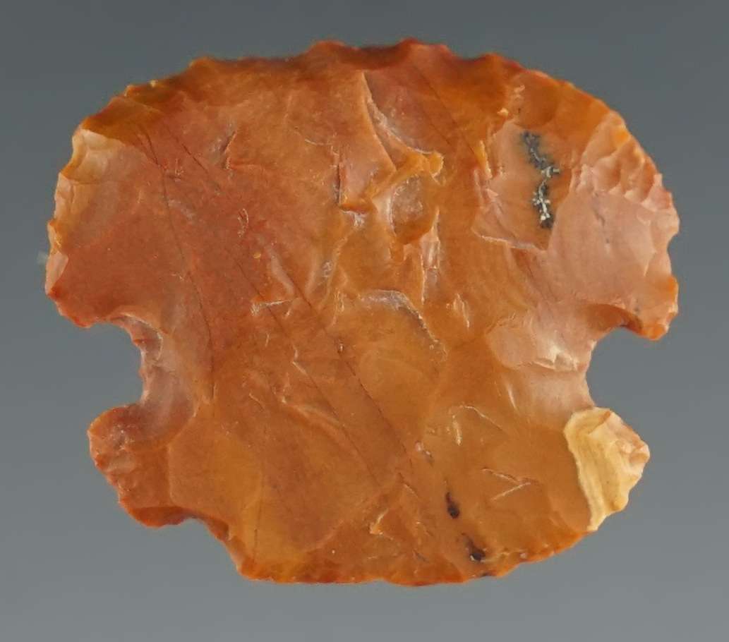 5/8" Sidenotch Hafted Scraper made from red Jasper, found in New Mexico. Bennett COA.