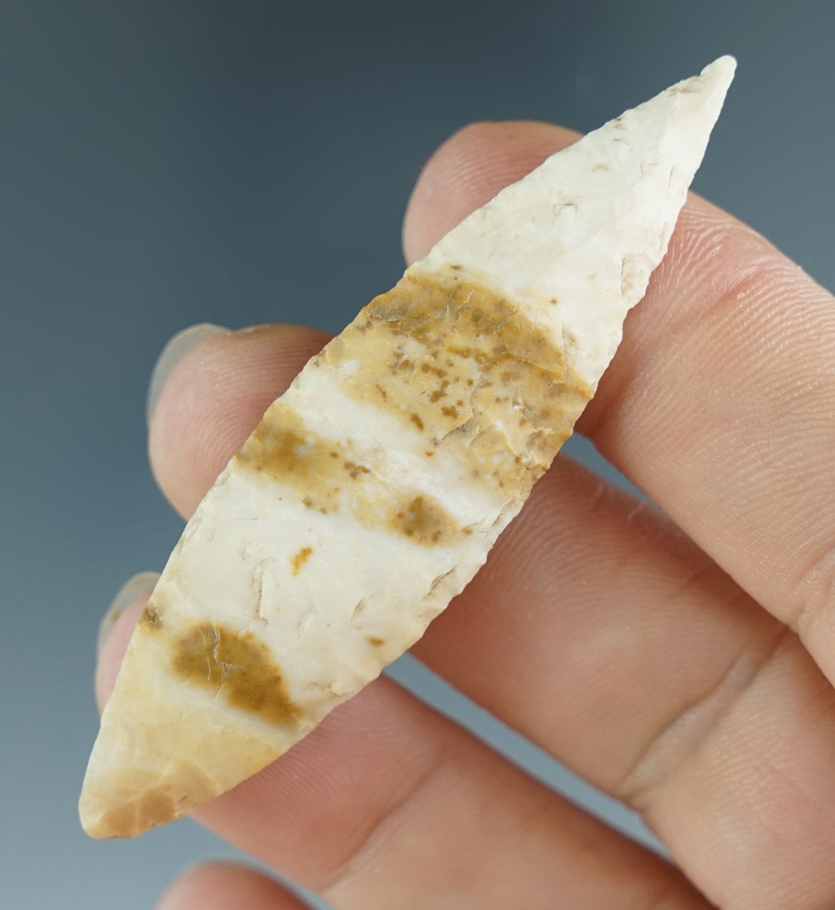 Beautiful material on this 2 1/2" Nodena found in Green Co., Arkansas. Jackson COA