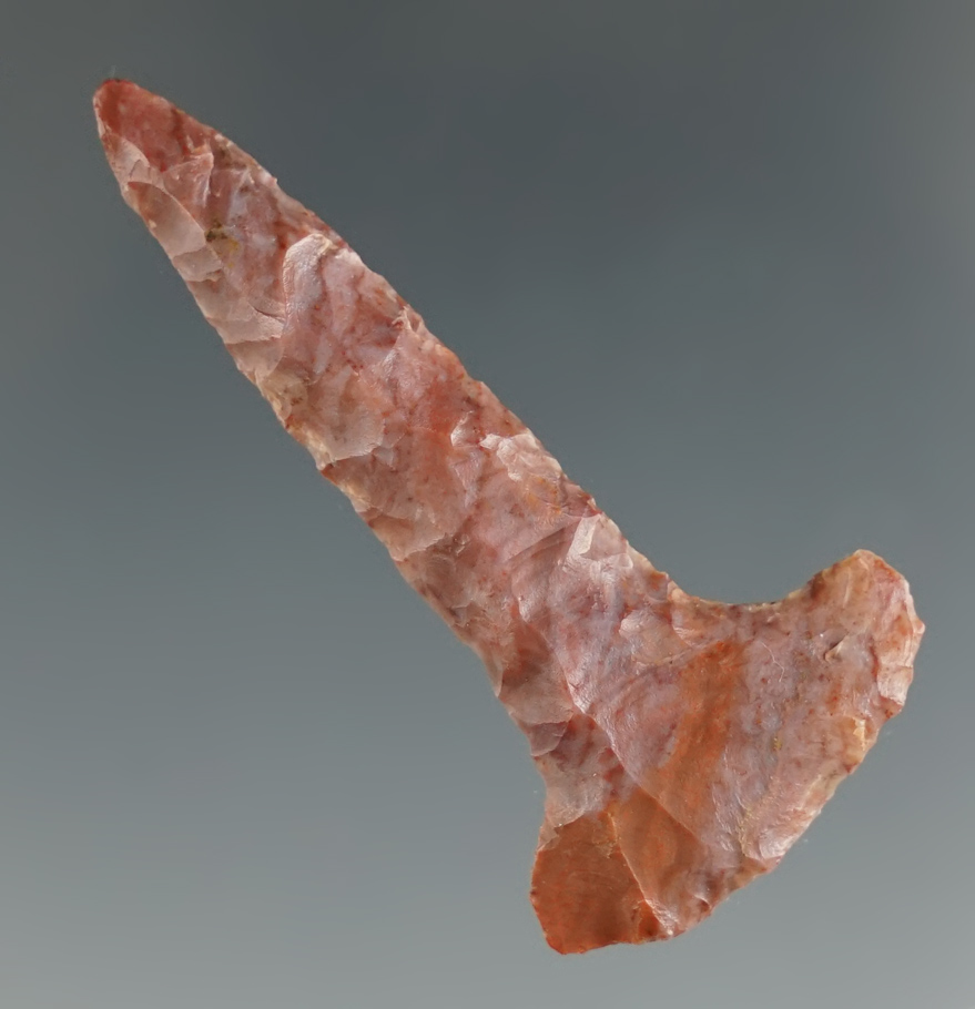 1 3/4" colorful expanded based drill found in Yuma County Colorado.