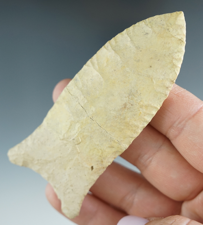 3 1/2" Heavily restored Suwannee made from light cream chert, found in Florida.  Rogers COA
