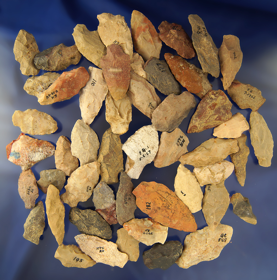 Large group of 50 assorted Arrowheads found in Greenup Co., Kentucky - Judge James Claxon collection