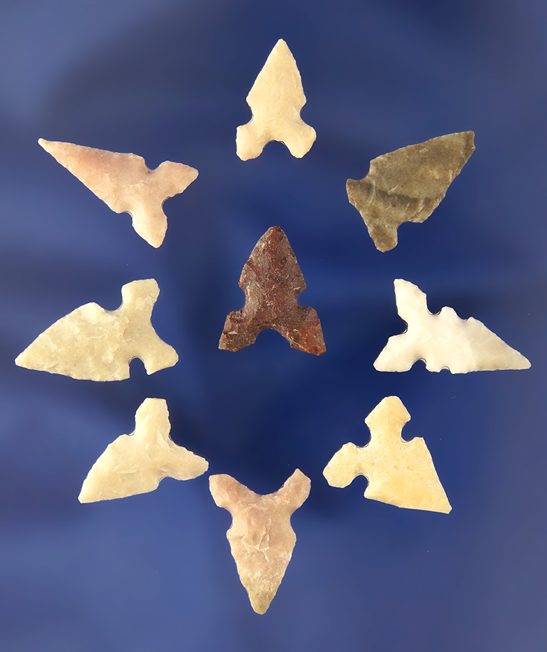 Set of 9 Bird Points found in Texas, largest is 3/4".