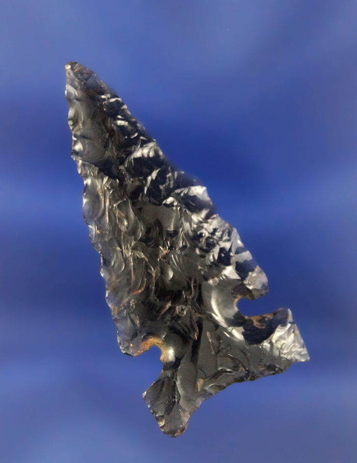 2 1/16" highly translucent obsidian Northern Side Notched  found in Burns Oregon.