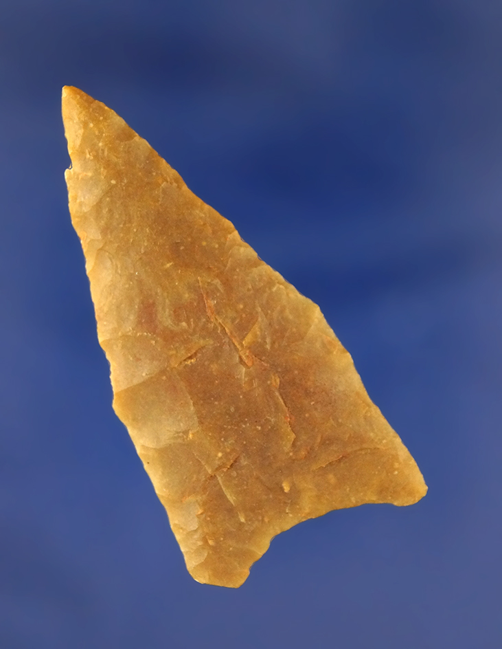 2 3/16" Plainview found in Wilson County Texas with nicely ground lower edges.