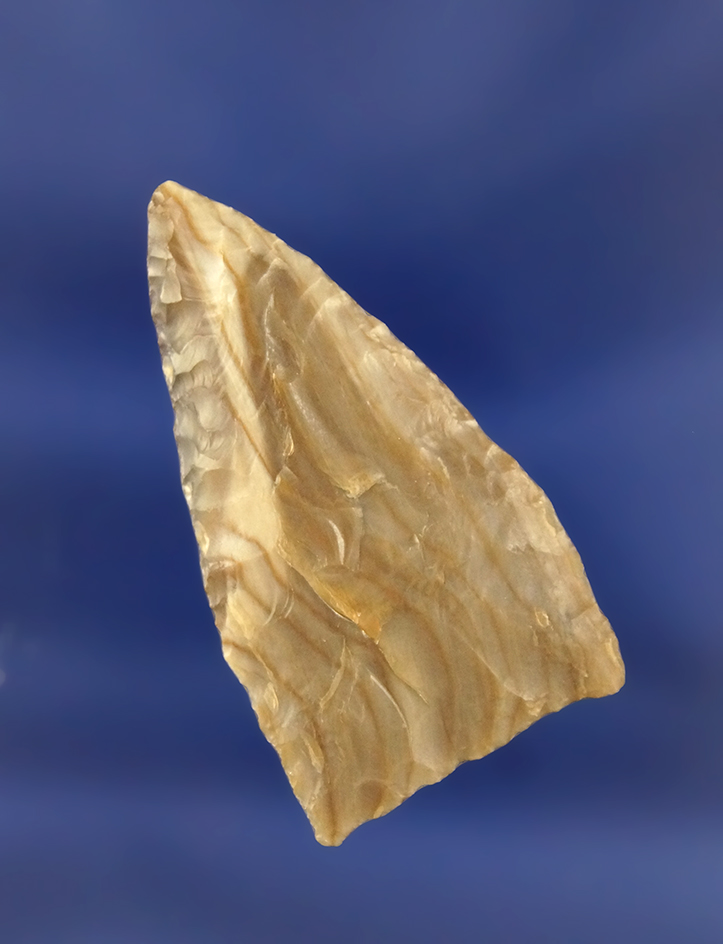 1 3/4" Pentagonal Knife made from beautiful striped petrified wood found near Umatilla Oregon.