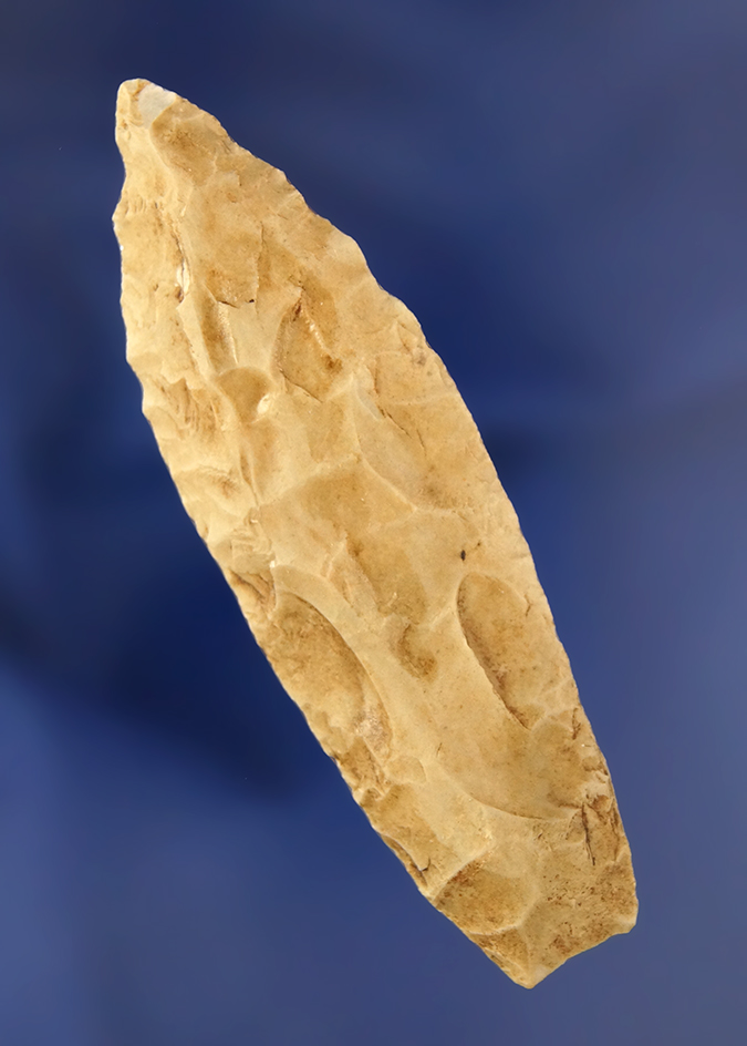 2 3/4" Angostura found in Texas.