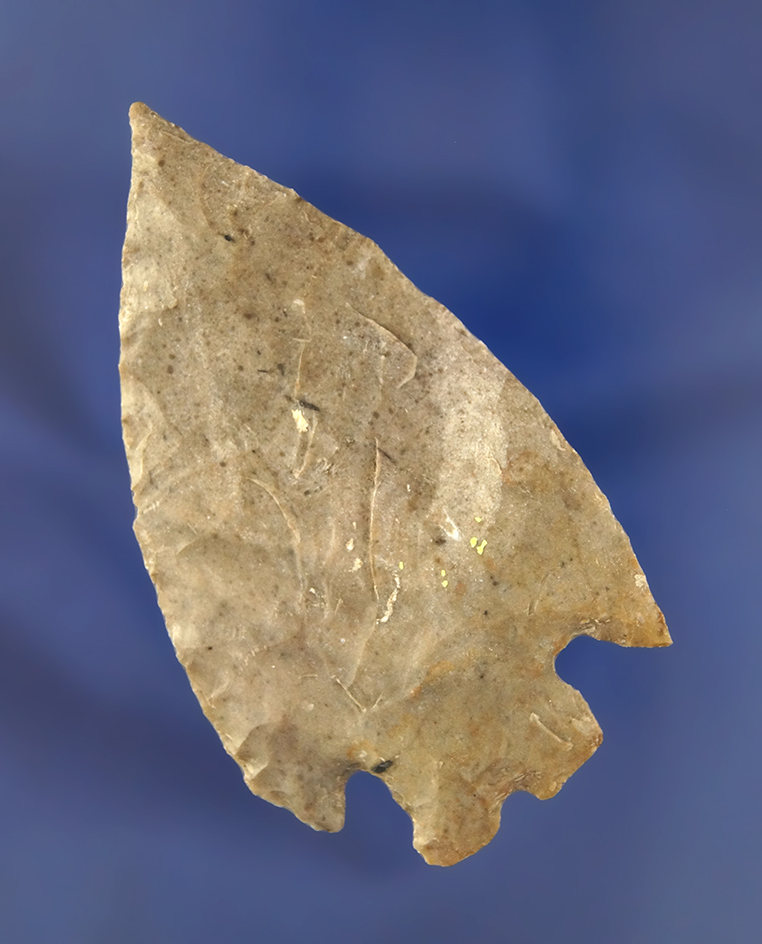 Thin and well styled 2 7/8" Montell point found in Texas.