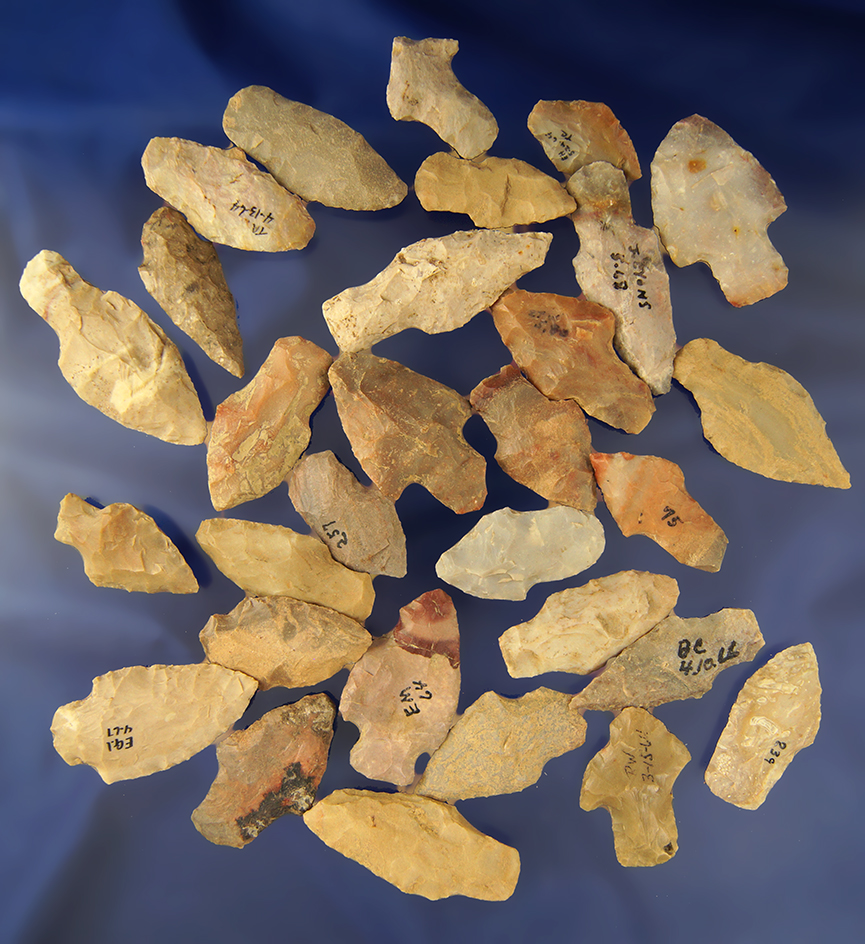 30 Adena Arrowheads found in Greenup Co., Kentucky - Judge James Claxon collection.