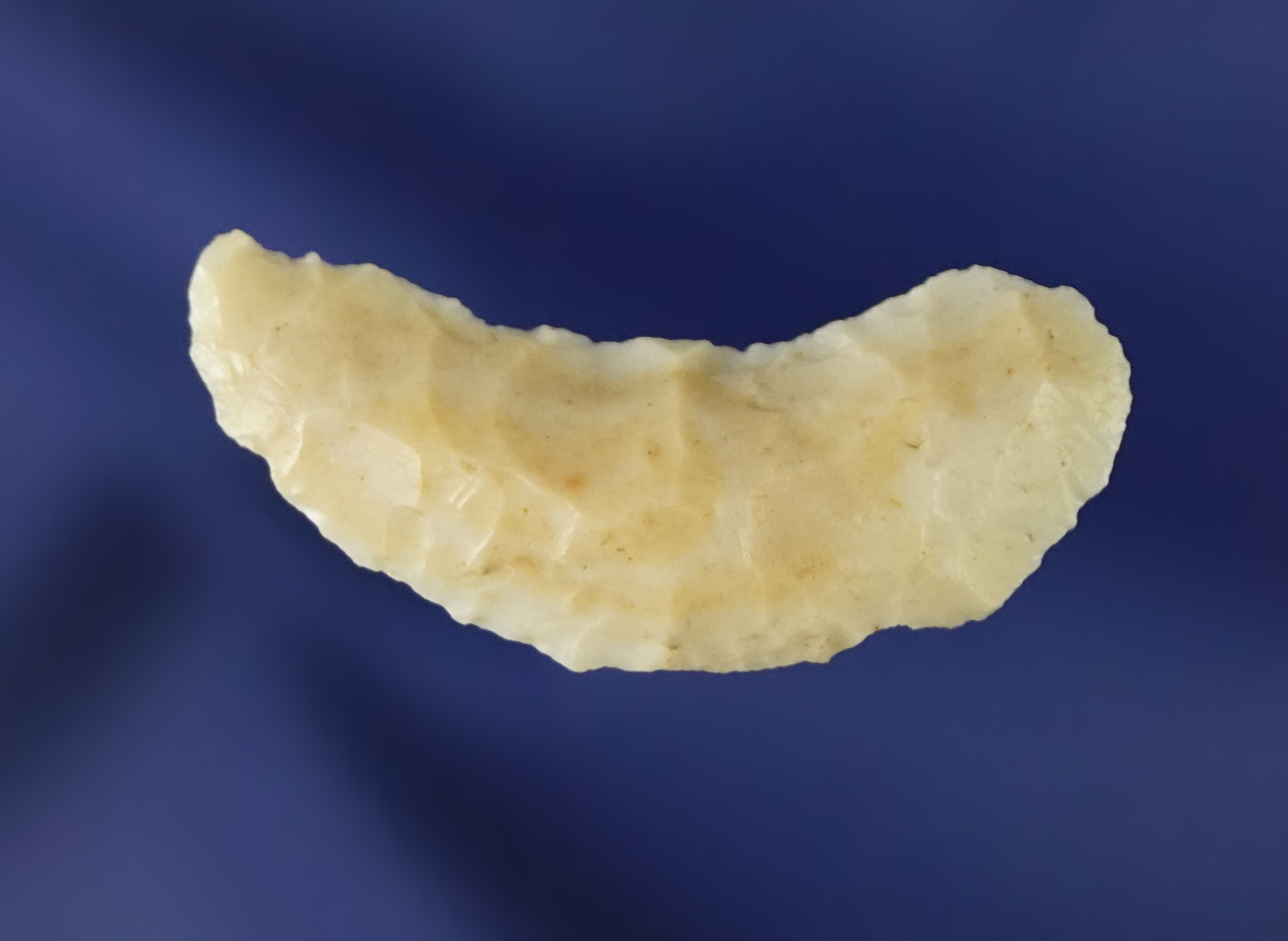 1 3/16" Paleo Crescent found near Paradise Valley Idaho.