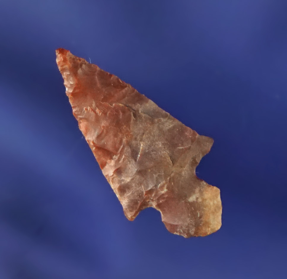 7/8" Klickitat Dagger found by Kaye Don Bruce near the John Day Rapids, Klickitat Co., WA.