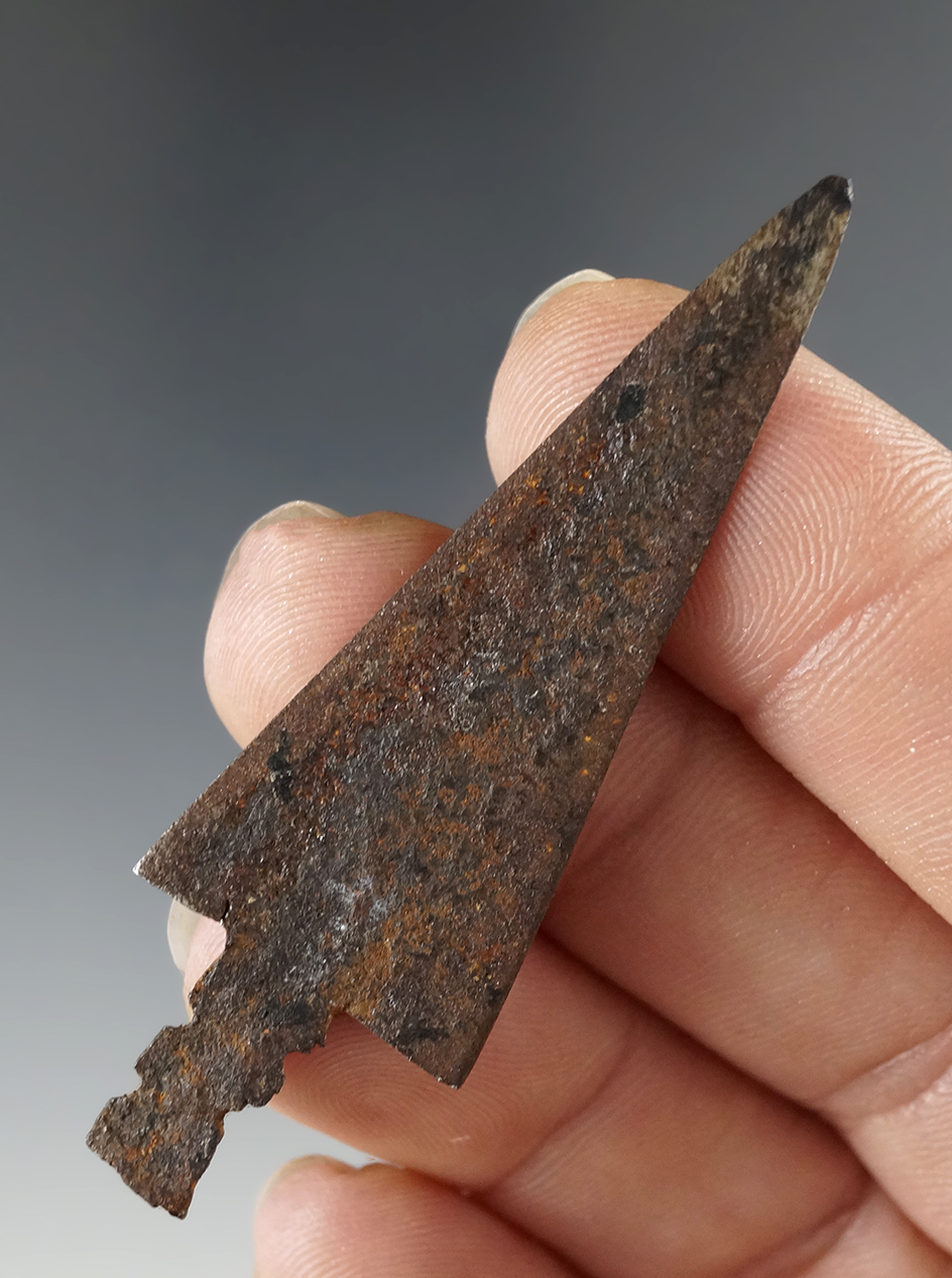 2 5/8" Iron Trade Point in very nice condition.