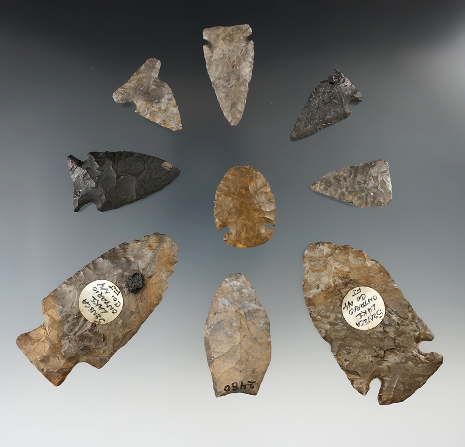 Group of restored arrowheads and knives found in New York, largest is 3 3/16".  "Iron Horse" collect